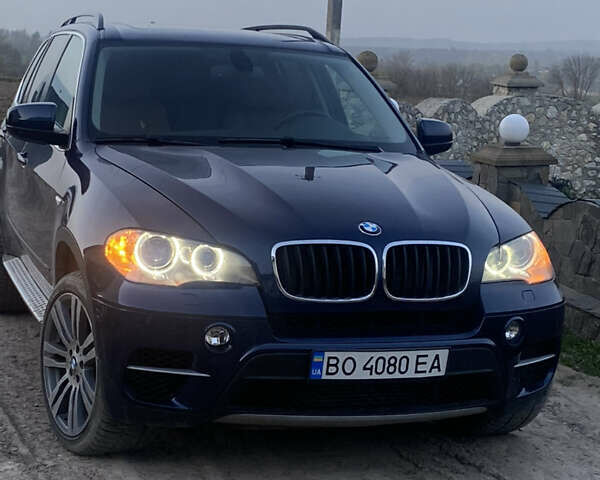 Синий БМВ Х5, объемом двигателя 3 л и пробегом 291 тыс. км за 19800 $, фото 17 на Automoto.ua