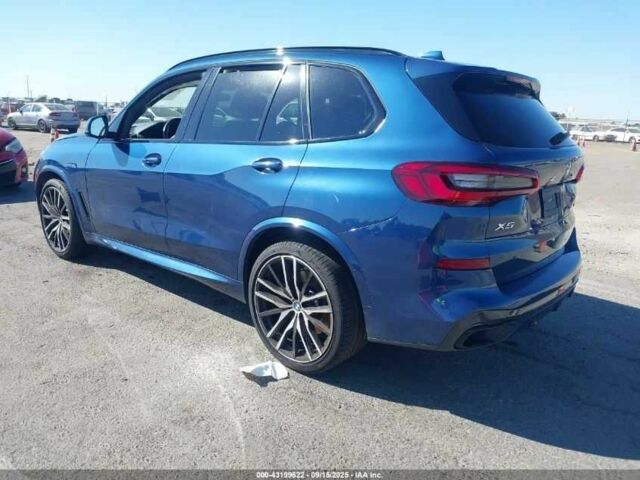 Синий БМВ Х5, объемом двигателя 3 л и пробегом 50 тыс. км за 23914 $, фото 3 на Automoto.ua