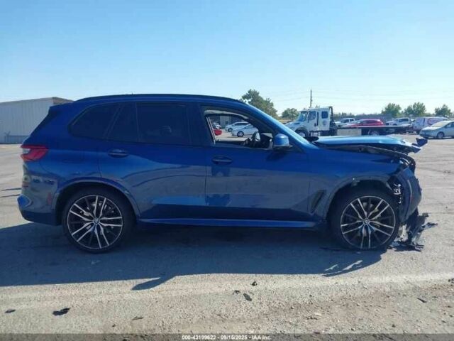 Синий БМВ Х5, объемом двигателя 3 л и пробегом 50 тыс. км за 23914 $, фото 6 на Automoto.ua
