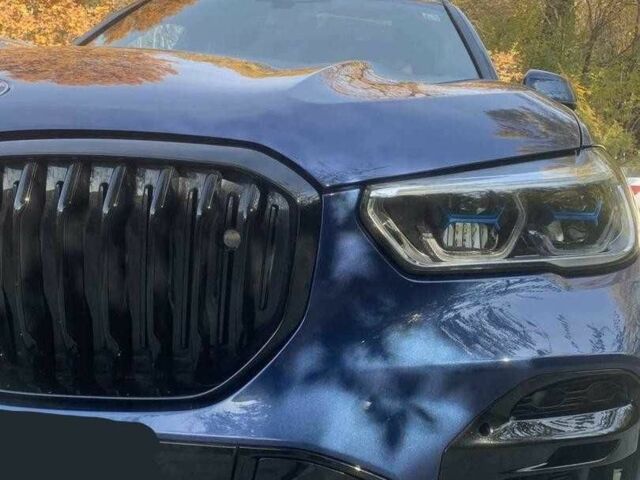 Синий БМВ Х5, объемом двигателя 3 л и пробегом 56 тыс. км за 32100 $, фото 9 на Automoto.ua