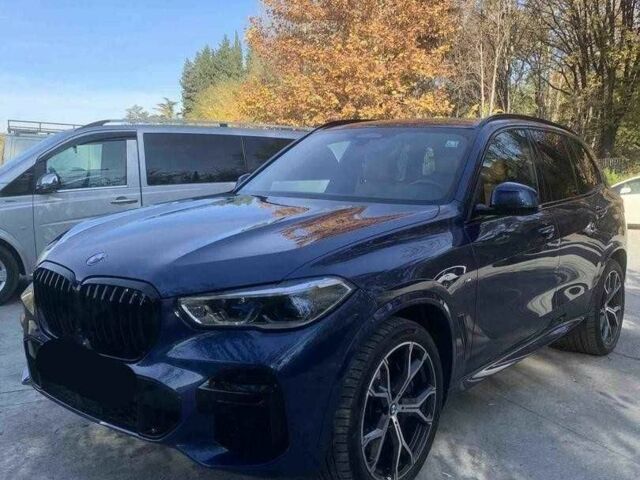 Синий БМВ Х5, объемом двигателя 3 л и пробегом 56 тыс. км за 32100 $, фото 2 на Automoto.ua