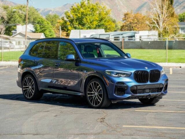 Синий БМВ Х5, объемом двигателя 3 л и пробегом 30 тыс. км за 65000 $, фото 2 на Automoto.ua