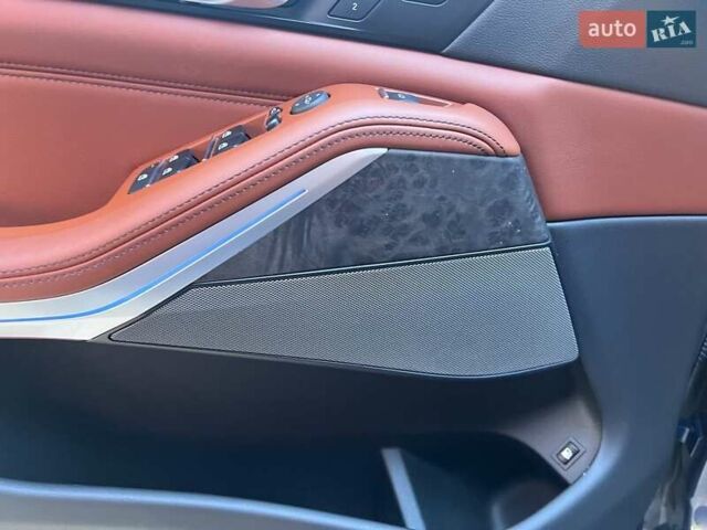 Синий БМВ Х5, объемом двигателя 3 л и пробегом 55 тыс. км за 78900 $, фото 19 на Automoto.ua