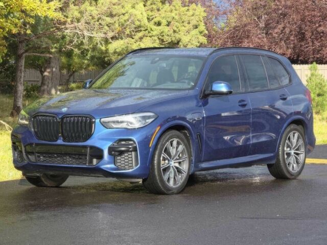 Синий БМВ Х5, объемом двигателя 3 л и пробегом 17 тыс. км за 47000 $, фото 2 на Automoto.ua