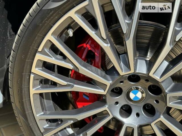 Серый БМВ Х6, объемом двигателя 3 л и пробегом 26 тыс. км за 133000 $, фото 33 на Automoto.ua