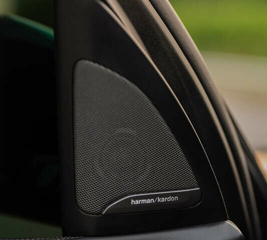 Серый БМВ X7, объемом двигателя 4.4 л и пробегом 78 тыс. км за 67500 $, фото 61 на Automoto.ua