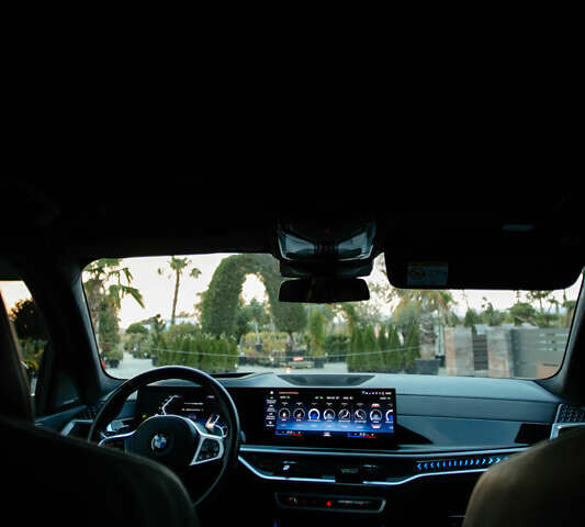 Сірий БМВ X7, об'ємом двигуна 3 л та пробігом 98 тис. км за 115000 $, фото 111 на Automoto.ua