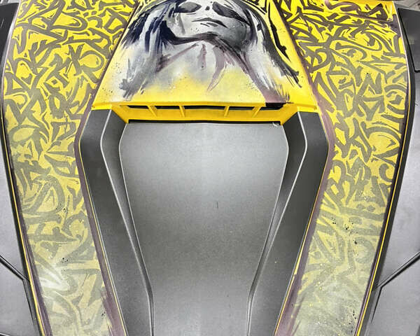 БРП Коммандер, объемом двигателя 0 л и пробегом 11 тыс. км за 9600 $, фото 6 на Automoto.ua