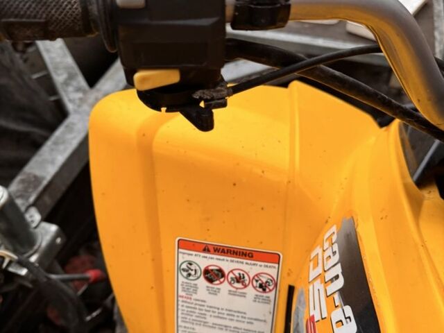 БРП Другая, объемом двигателя 90 л и пробегом 0 тыс. км за 2000 $, фото 6 на Automoto.ua