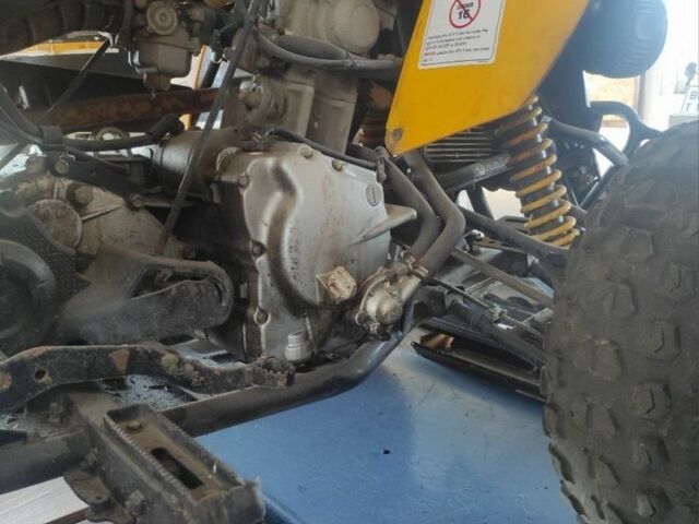 БРП Другая, объемом двигателя 0.25 л и пробегом 0 тыс. км за 2500 $, фото 5 на Automoto.ua