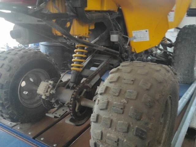 БРП Другая, объемом двигателя 0.25 л и пробегом 0 тыс. км за 2500 $, фото 9 на Automoto.ua