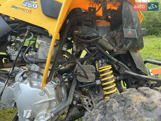 Желтый БРП DS 250, объемом двигателя 0.25 л и пробегом 2 тыс. км за 2431 $, фото 7 на Automoto.ua