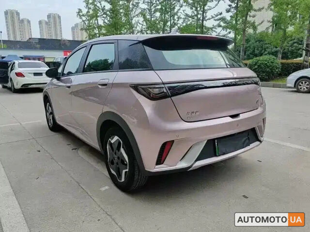 купить новое авто БИД Dolphin 2024 года от официального дилера VinAVto БИД фото
