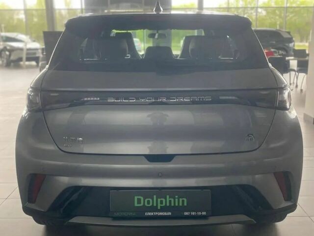 БІД Dolphin, об'ємом двигуна 0 л та пробігом 1 тис. км за 20700 $, фото 2 на Automoto.ua