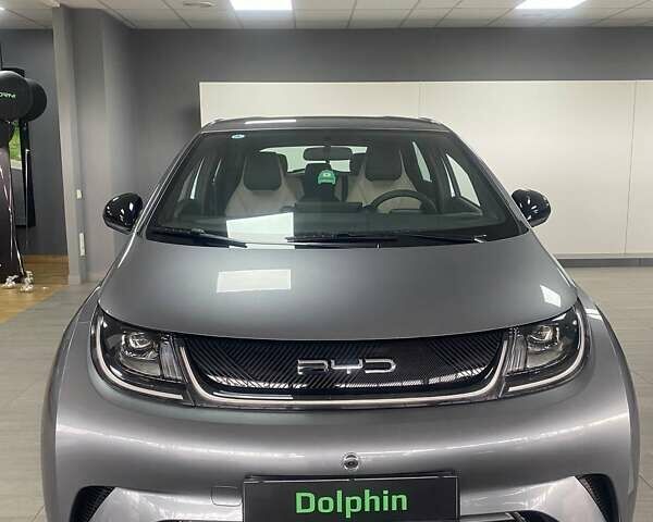 Серый БИД Dolphin, объемом двигателя 0 л и пробегом 1 тыс. км за 18500 $, фото 1 на Automoto.ua