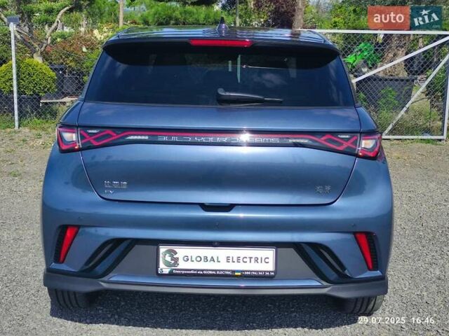 Синій БІД Dolphin, об'ємом двигуна 0 л та пробігом 8 тис. км за 19500 $, фото 5 на Automoto.ua