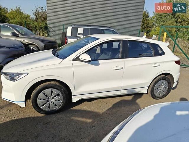 Білий БІД e2, об'ємом двигуна 0 л та пробігом 33 тис. км за 15500 $, фото 3 на Automoto.ua