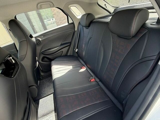 Белый БИД e2, объемом двигателя 0 л и пробегом 1 тыс. км за 18490 $, фото 16 на Automoto.ua