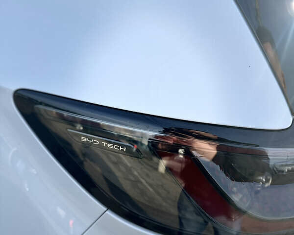 Белый БИД Sea Lion 05, объемом двигателя 0 л и пробегом 1 тыс. км за 24500 $, фото 19 на Automoto.ua