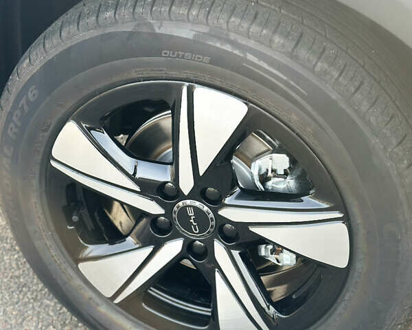 Белый БИД Sea Lion 05, объемом двигателя 0 л и пробегом 1 тыс. км за 24500 $, фото 13 на Automoto.ua