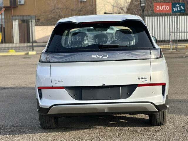 Белый БИД Sea Lion 05, объемом двигателя 0 л и пробегом 1 тыс. км за 24500 $, фото 4 на Automoto.ua