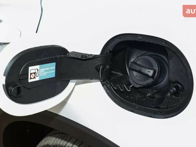 БИД Sea Lion 05, объемом двигателя 1.5 л и пробегом 0 тыс. км за 23350 $, фото 12 на Automoto.ua