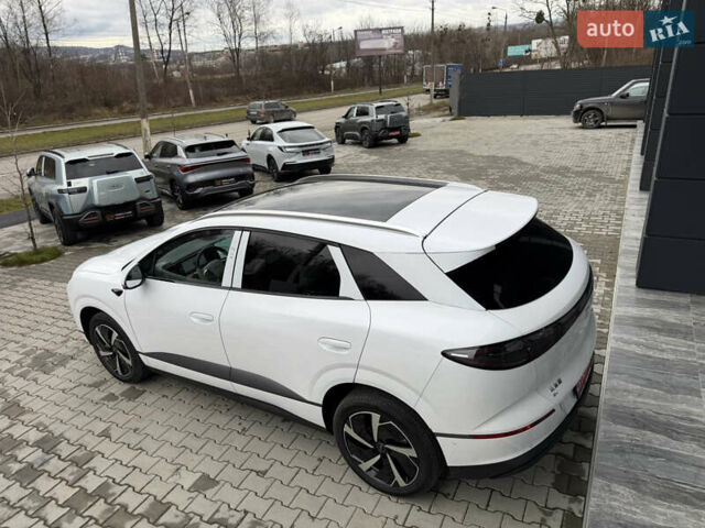 Белый БИД Sea Lion 06, объемом двигателя 0 л и пробегом 1 тыс. км за 28000 $, фото 8 на Automoto.ua