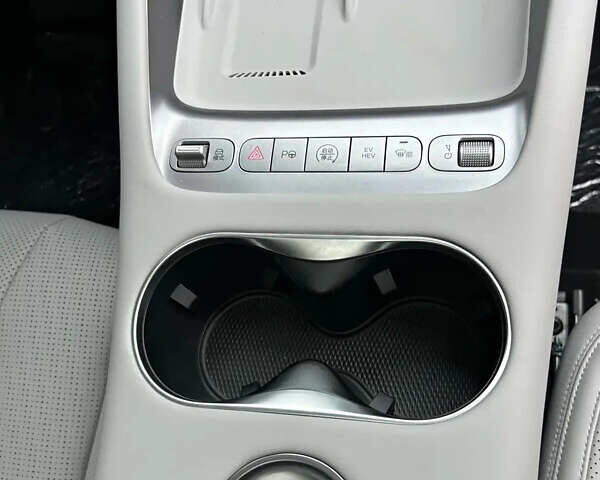 Белый БИД Sea Lion 06, объемом двигателя 0 л и пробегом 1 тыс. км за 27500 $, фото 4 на Automoto.ua