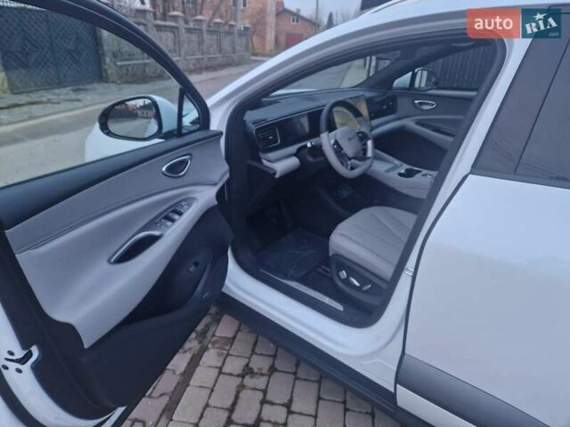 Белый БИД Sea Lion 06, объемом двигателя 0 л и пробегом 1 тыс. км за 29100 $, фото 14 на Automoto.ua