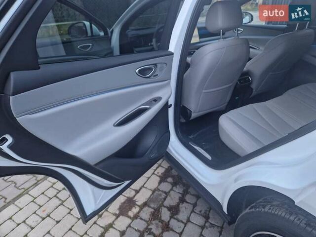 Белый БИД Sea Lion 06, объемом двигателя 0 л и пробегом 1 тыс. км за 29100 $, фото 18 на Automoto.ua