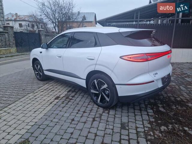 Белый БИД Sea Lion 06, объемом двигателя 0 л и пробегом 1 тыс. км за 29100 $, фото 8 на Automoto.ua