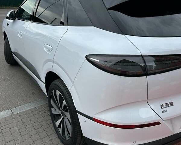 Белый БИД Sea Lion 06, объемом двигателя 0 л и пробегом 1 тыс. км за 25999 $, фото 12 на Automoto.ua