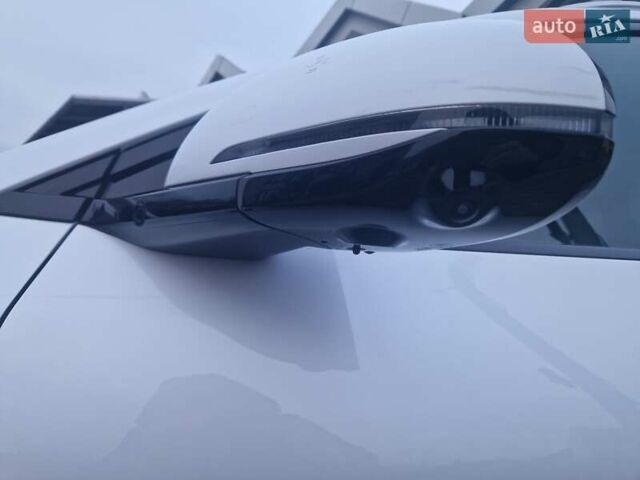 Белый БИД Sea Lion 06, объемом двигателя 0 л и пробегом 1 тыс. км за 29100 $, фото 11 на Automoto.ua