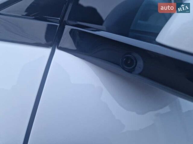 Белый БИД Sea Lion 06, объемом двигателя 0 л и пробегом 1 тыс. км за 29100 $, фото 12 на Automoto.ua