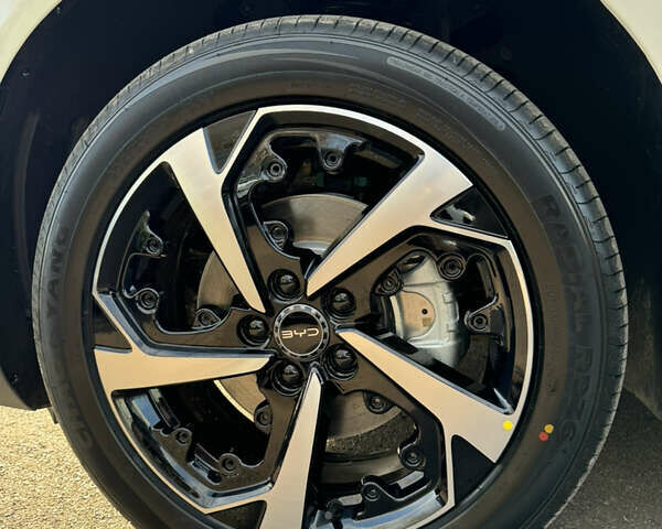 Белый БИД Sea Lion 06, объемом двигателя 0 л и пробегом 1 тыс. км за 28500 $, фото 16 на Automoto.ua