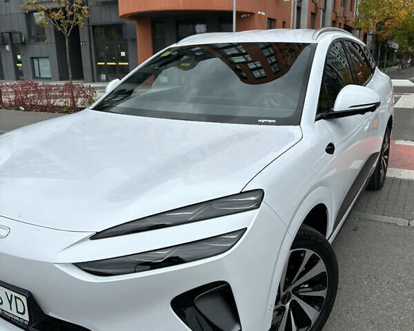 Белый БИД Sea Lion 06, объемом двигателя 0 л и пробегом 1 тыс. км за 25999 $, фото 2 на Automoto.ua