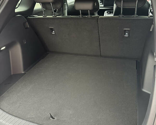 Белый БИД Sea Lion 06, объемом двигателя 0 л и пробегом 1 тыс. км за 25999 $, фото 26 на Automoto.ua