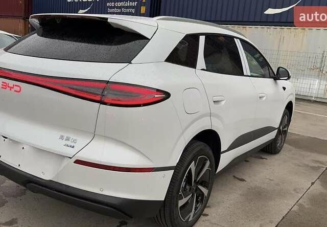 Белый БИД Sea Lion 06, объемом двигателя 0 л и пробегом 1 тыс. км за 28500 $, фото 3 на Automoto.ua