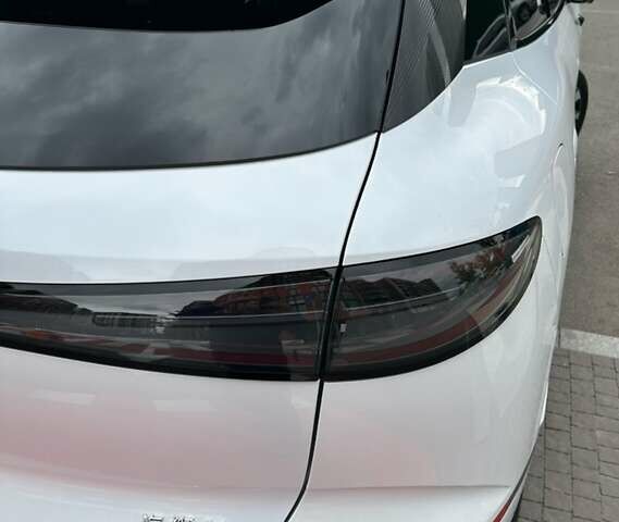 Белый БИД Sea Lion 06, объемом двигателя 0 л и пробегом 1 тыс. км за 25999 $, фото 11 на Automoto.ua