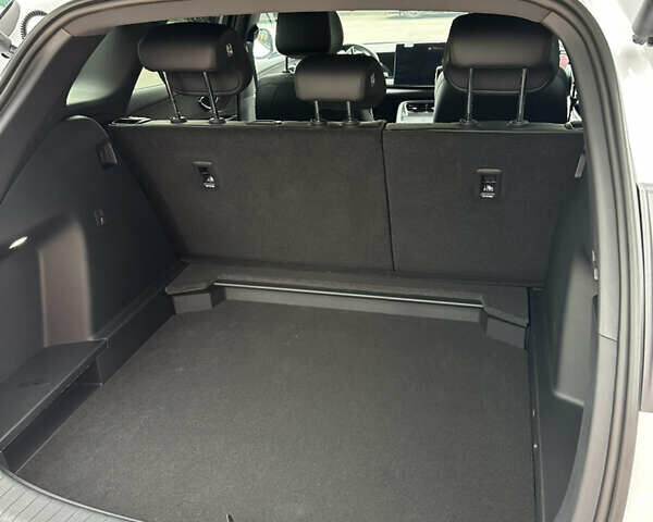 Белый БИД Sea Lion 06, объемом двигателя 0 л и пробегом 1 тыс. км за 25999 $, фото 24 на Automoto.ua