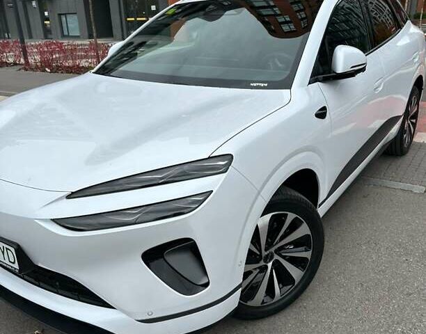 Белый БИД Sea Lion 06, объемом двигателя 0 л и пробегом 1 тыс. км за 25999 $, фото 8 на Automoto.ua