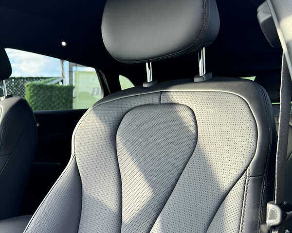 Белый БИД Sea Lion 06, объемом двигателя 0 л и пробегом 1 тыс. км за 28500 $, фото 23 на Automoto.ua