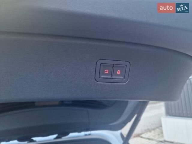 Белый БИД Sea Lion 06, объемом двигателя 0 л и пробегом 1 тыс. км за 29100 $, фото 26 на Automoto.ua