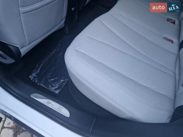 Белый БИД Sea Lion 06, объемом двигателя 0 л и пробегом 1 тыс. км за 29100 $, фото 20 на Automoto.ua