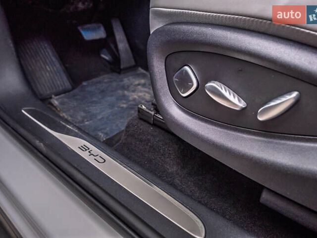 Бежевый БИД Sea Lion 06, объемом двигателя 0 л и пробегом 1 тыс. км за 28700 $, фото 38 на Automoto.ua