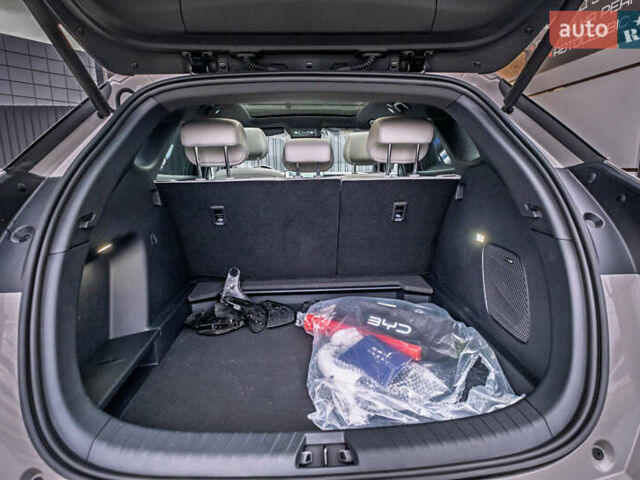 Бежевый БИД Sea Lion 06, объемом двигателя 0 л и пробегом 1 тыс. км за 28700 $, фото 40 на Automoto.ua