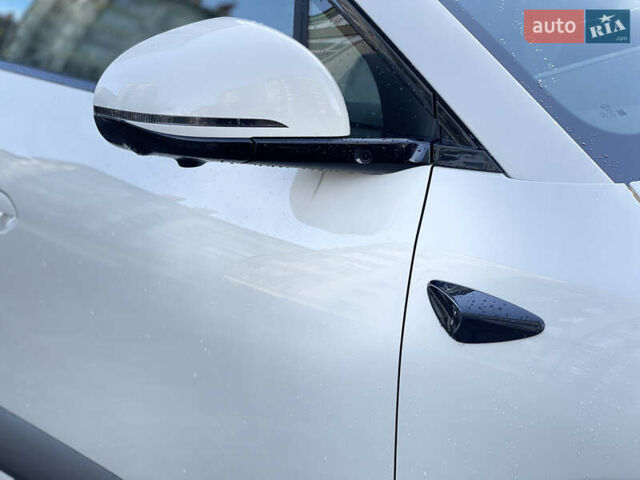 Бежевый БИД Sea Lion 06, объемом двигателя 0 л и пробегом 1 тыс. км за 28300 $, фото 5 на Automoto.ua