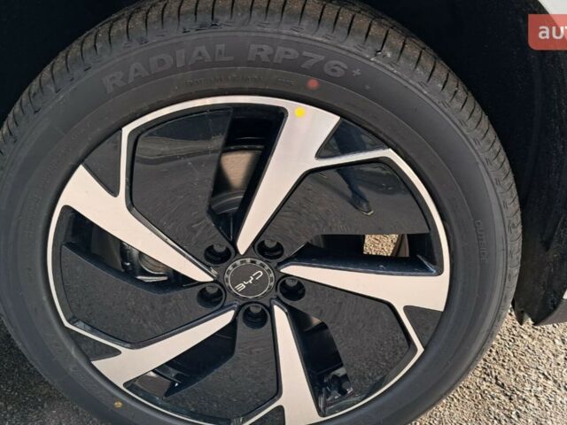 купить новое авто БИД Sea Lion 06 2025 года от официального дилера E-SKM Позняки БИД фото