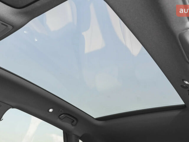 БИД Sea Lion 06, объемом двигателя 1.5 л и пробегом 0 тыс. км за 31190 $, фото 23 на Automoto.ua