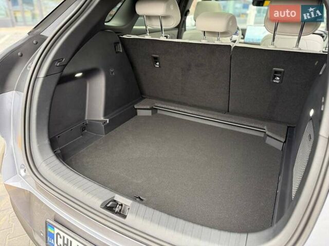 Серый БИД Sea Lion 06, объемом двигателя 0 л и пробегом 1 тыс. км за 28900 $, фото 39 на Automoto.ua